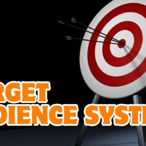 Target Audience System
